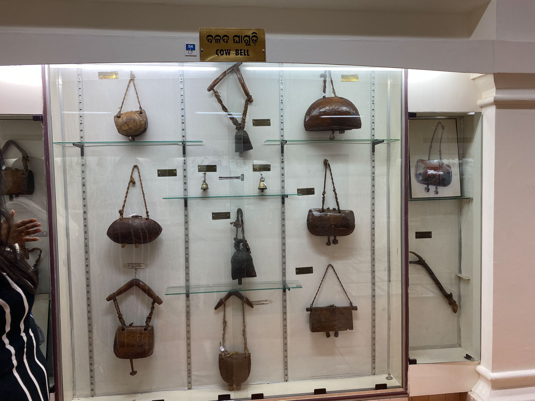 Odisha State Tribal Museum Odisha Bhubaneswar Cow Bell